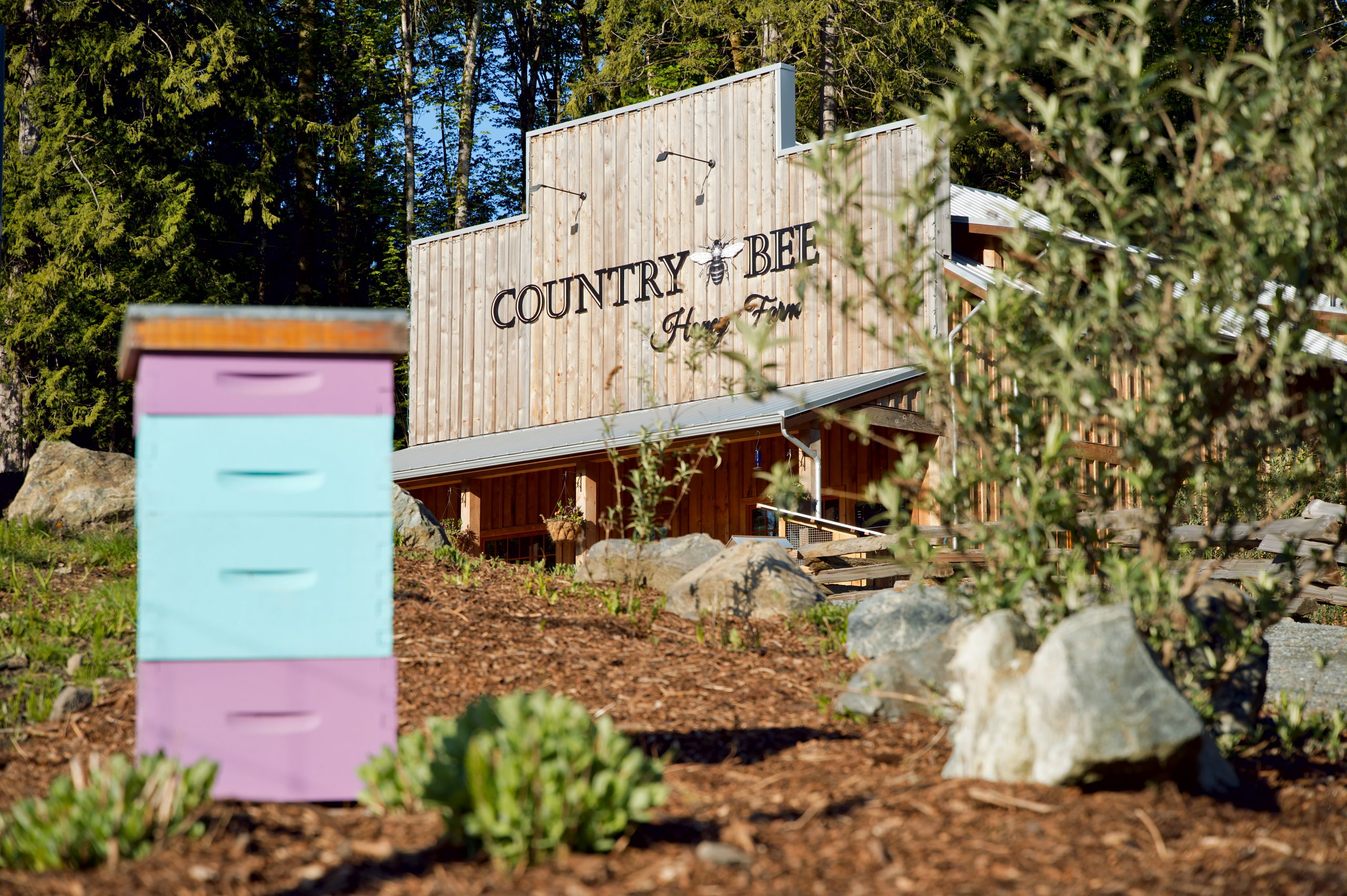 country bee farm store and beehive