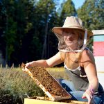 Beekeeping in summer lindsay