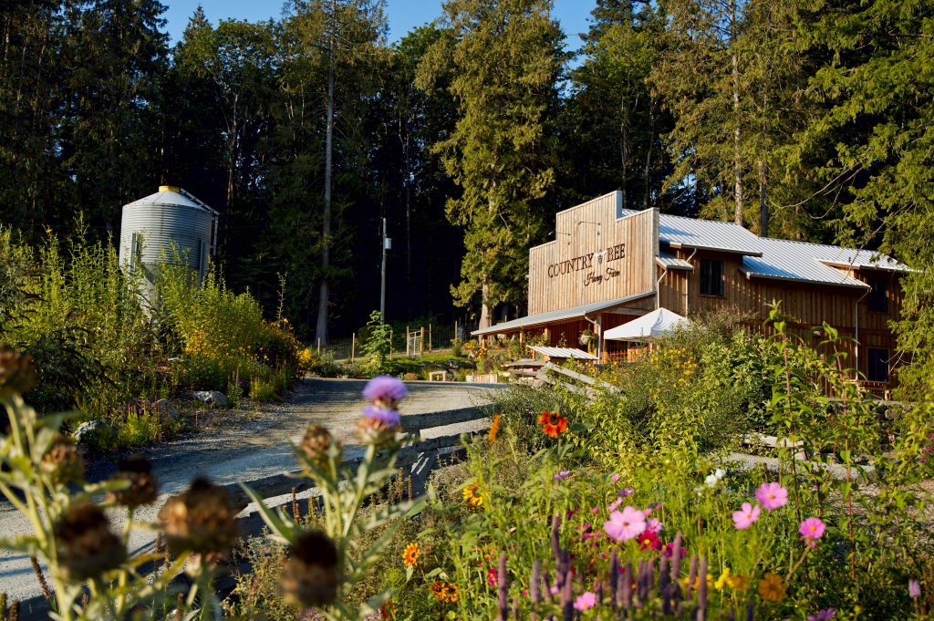 Pollinator Garden and store