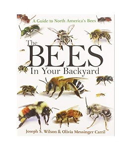 the bees in your backyard