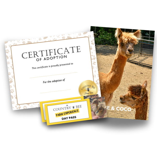 & 3 video updates of your chosen animal! (4) & 3 video updates of your chosen animal! (4)