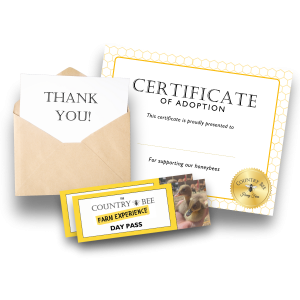 Honeybee Sponsorships
