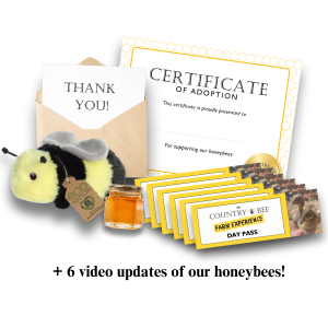 Gold Honeybee Sponsorship